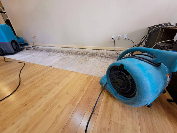 Professional Basement Flood Cleanup technician working in Comstock Park, MI